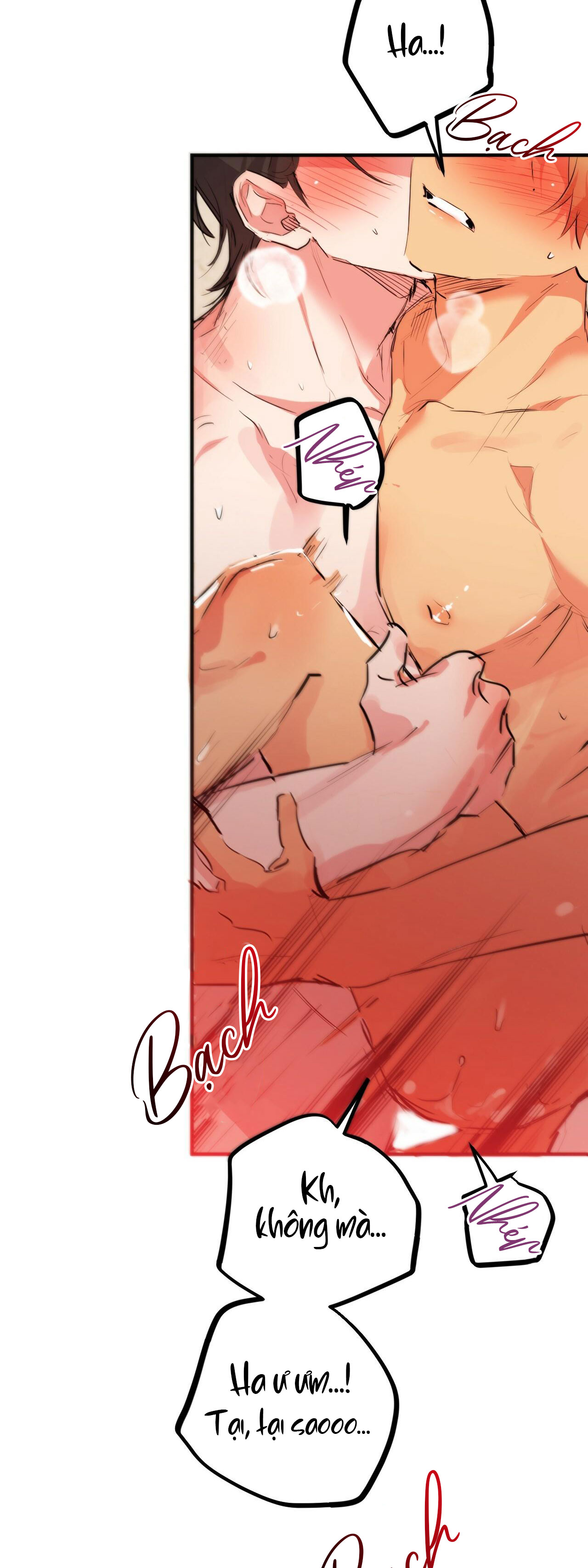 những chú thỏ của hapypy chapter 29 33