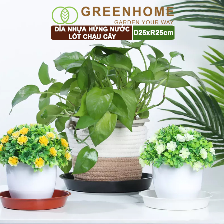 Dĩa nhựa lót chậu cây, nhựa nguyên sinh, bền, đẹp | Greenhome
