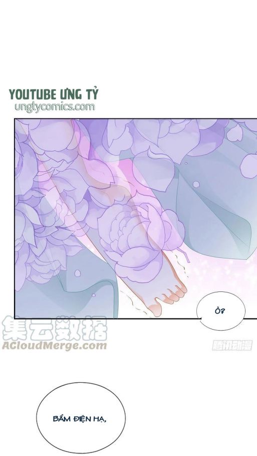 bổn vương muốn nàng chapter 50 16