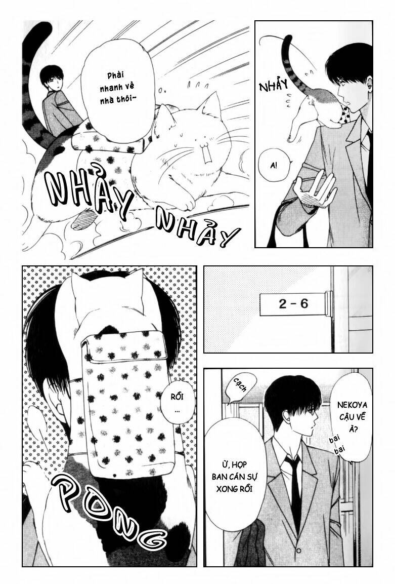 neko neko honey chapter 2 26