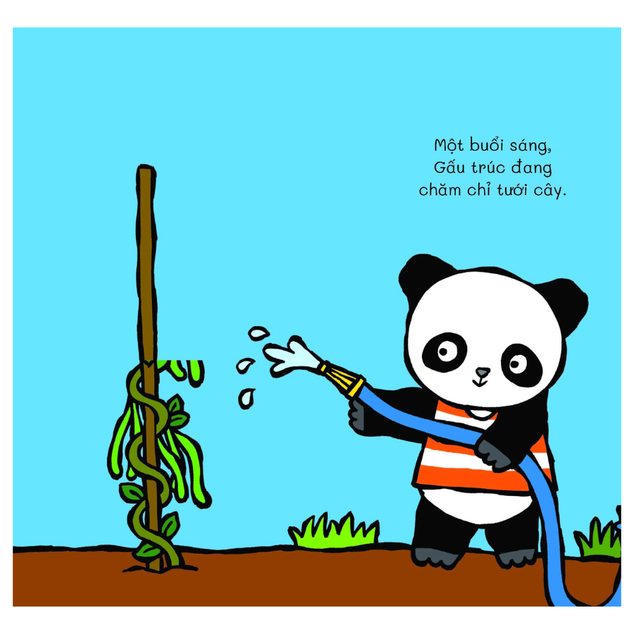 Gấu Trúc Đi Tìm: Có Thấy Không Gấu Trúc Ơi?