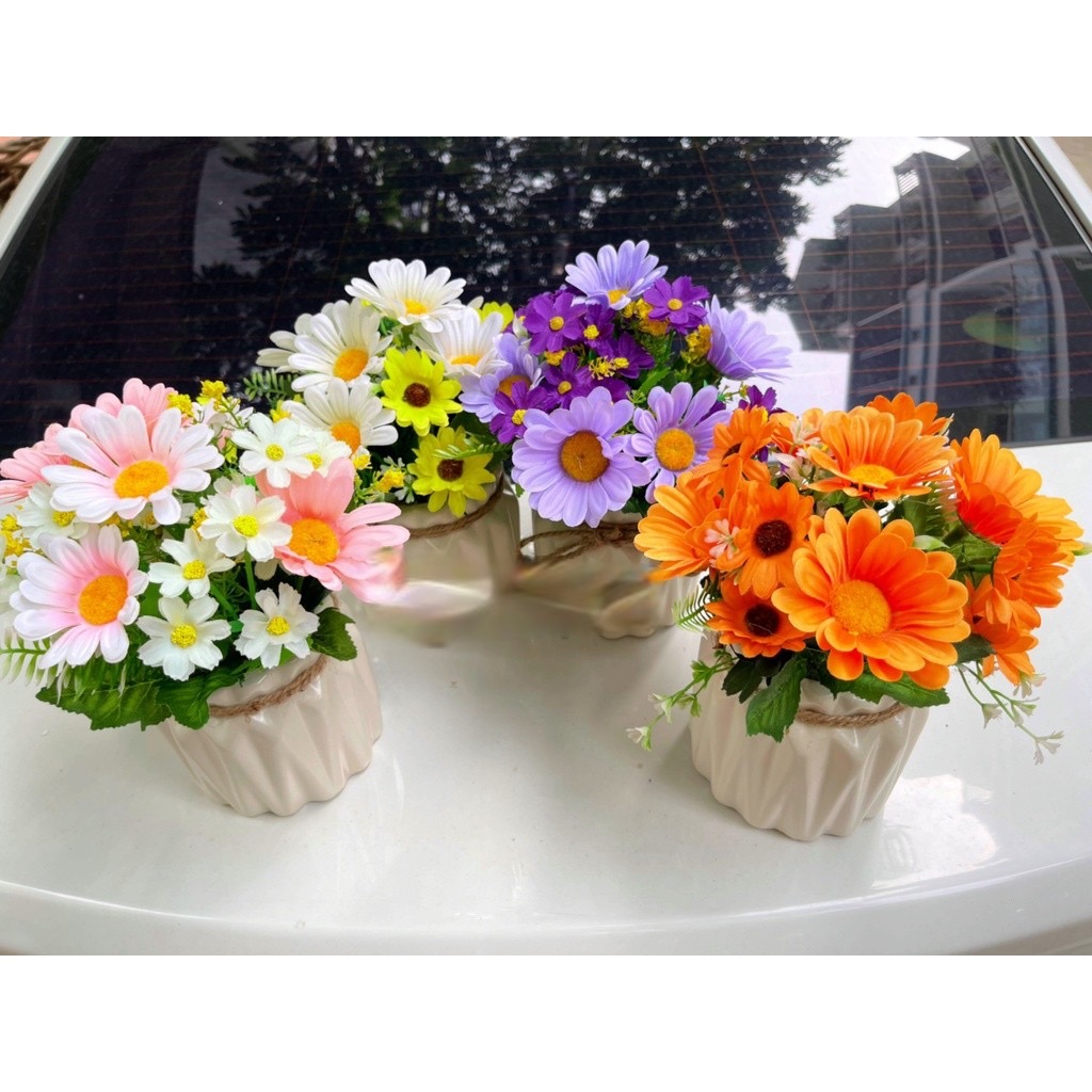Chậu hoa đồng tiền trang trí để bàn làm việc cây giả - Cây giả, hoa lụa Decor trang trí nhà cửa