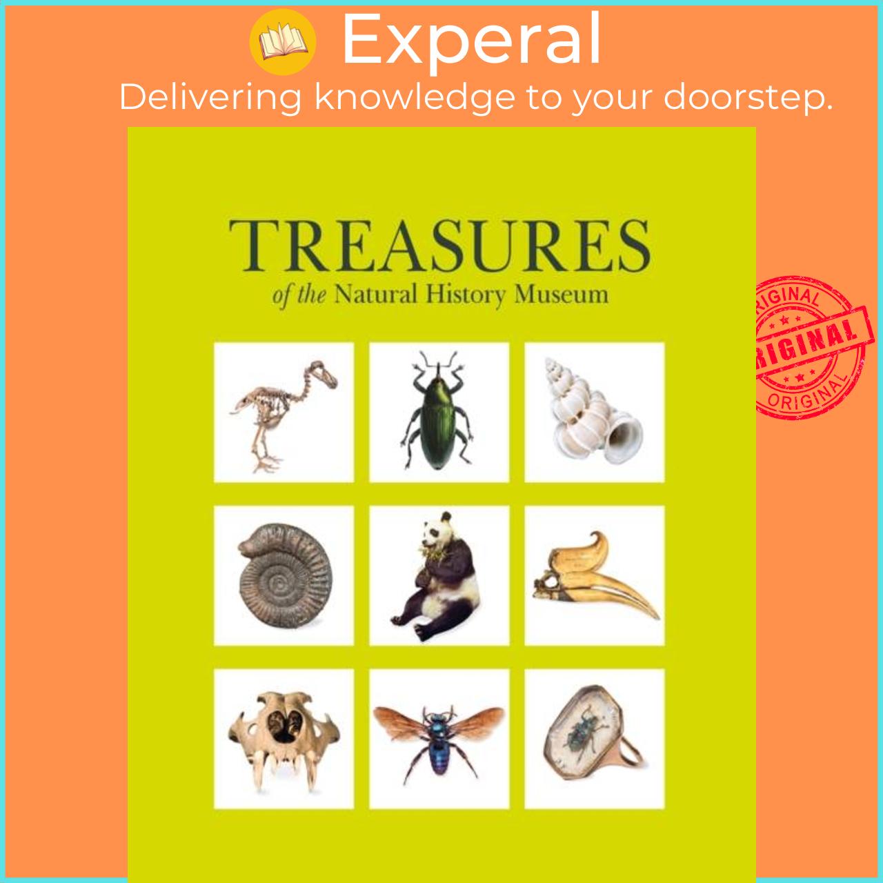 Sách - Treasures of the Natural History Museum - (Pocket edition) by Natural History Museum (UK edition, hardcover)