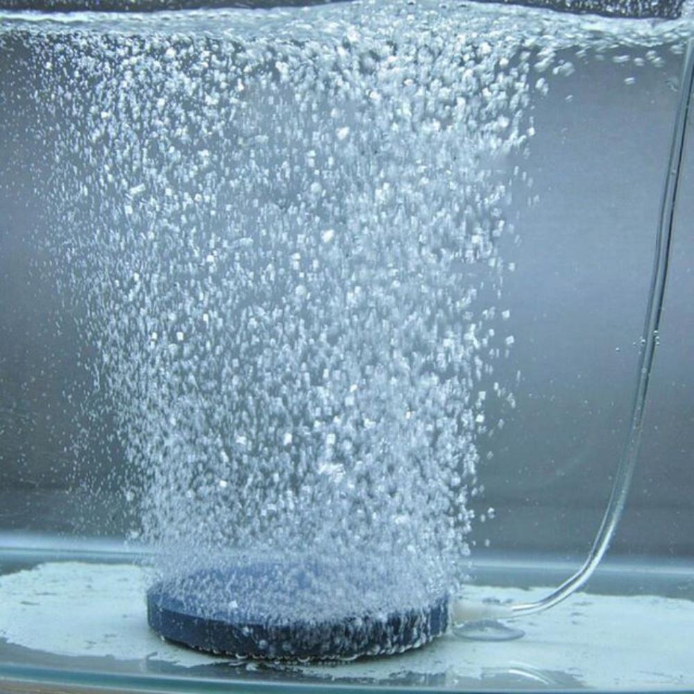 Đĩa sủi oxy siêu mịn dành cho hồ cá