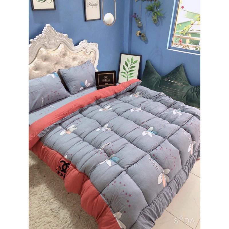 Bộ chăn ga gối phao đũi 4 món 1m6x2m tặng kèm vỏ gối ôm