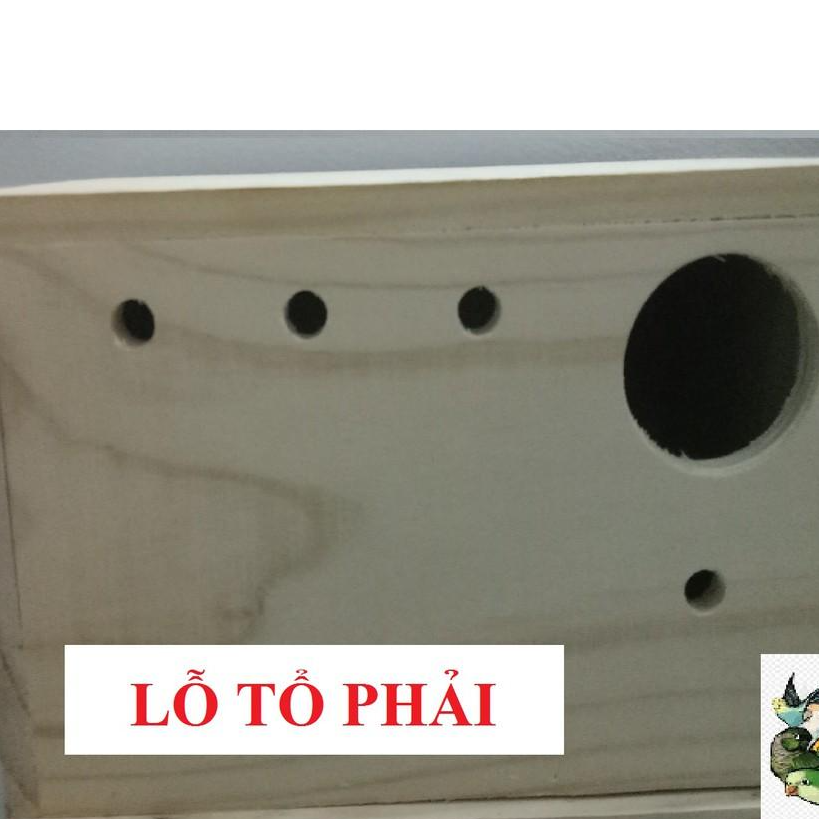 TỔ YẾN PHỤNG (NẮP HÔNG) SIZE 22*14*14, GỖ THÔNG NGUYÊN KHỐI NHẬP KHẨU KHÔNG TẠP CHẤT
