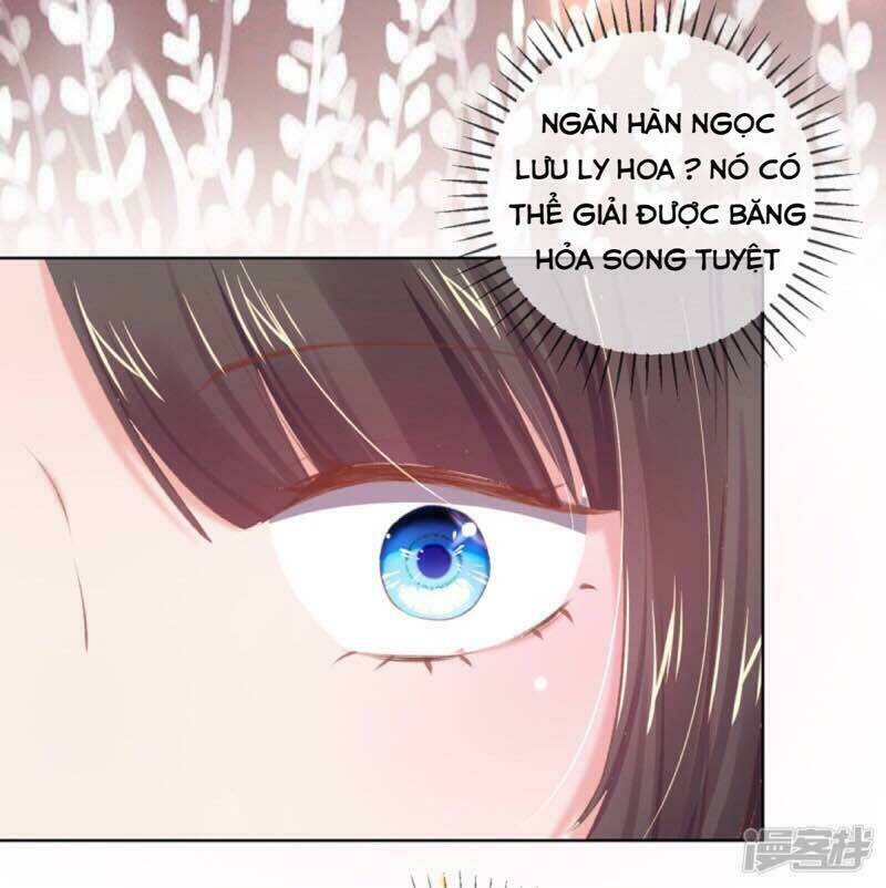 thị huyết y phi chapter 54 19