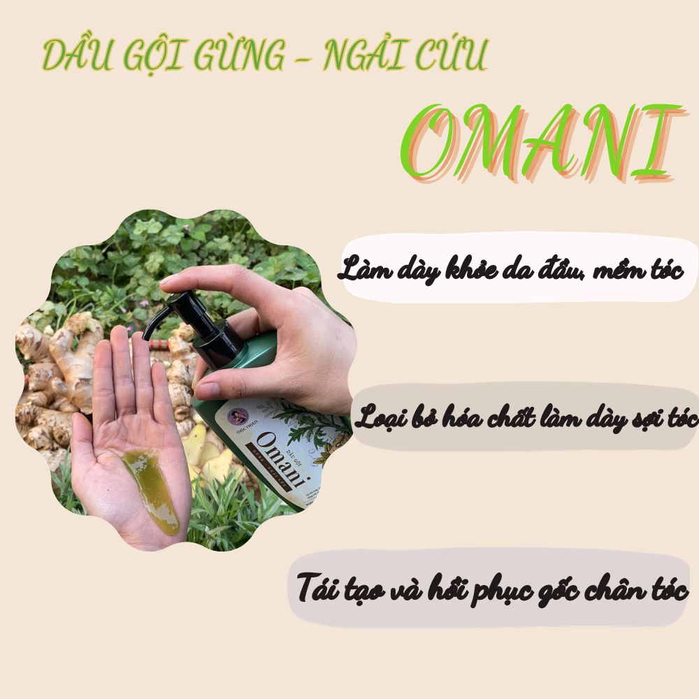 Dầu gội gừng ngải cứu Omani - Ngăn ngừa gàu nấm với thảo mộc lành tính 250ml