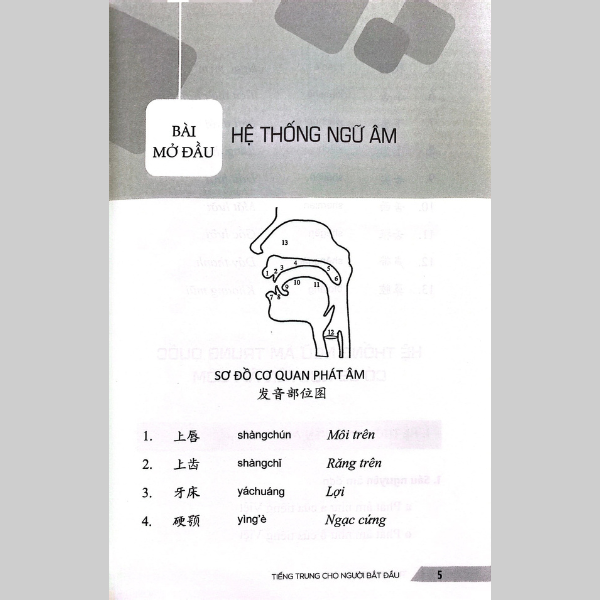 Tiếng Trung Cho Người Bắt Đầu - Giáo Trình Hán Ngữ Căn Bản Với 15 Chủ Đề Giao Tiếp Thông Dụng