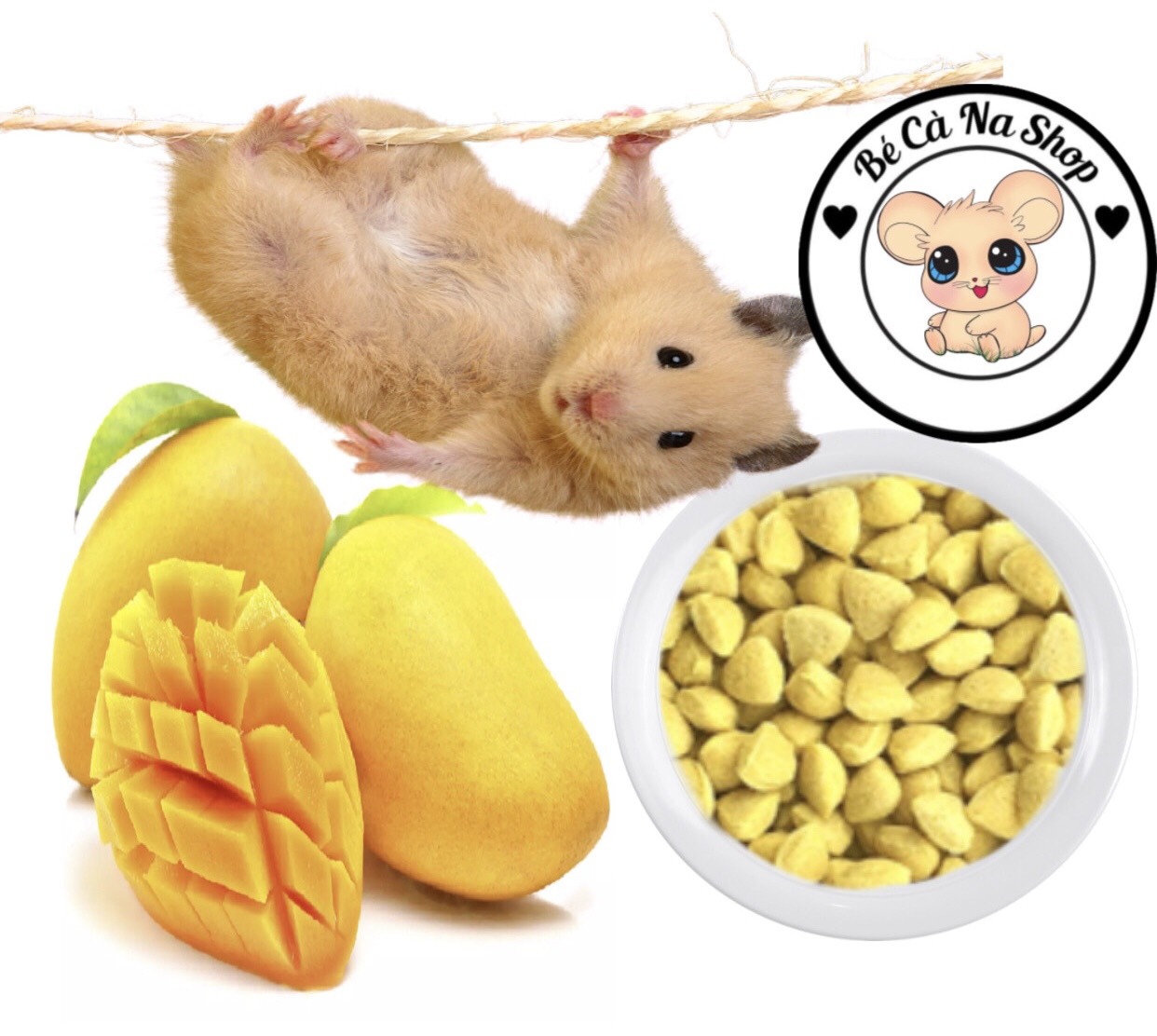 Bánh xoài. thức ăn hộ trợ mài răng cho hamster thỏ bọ sóc chinchilla ...
