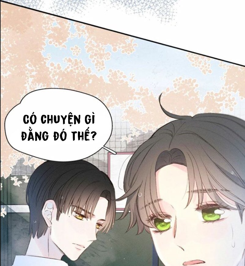 nỗi buồn của hoa cẩm tú cầu chapter 9 3