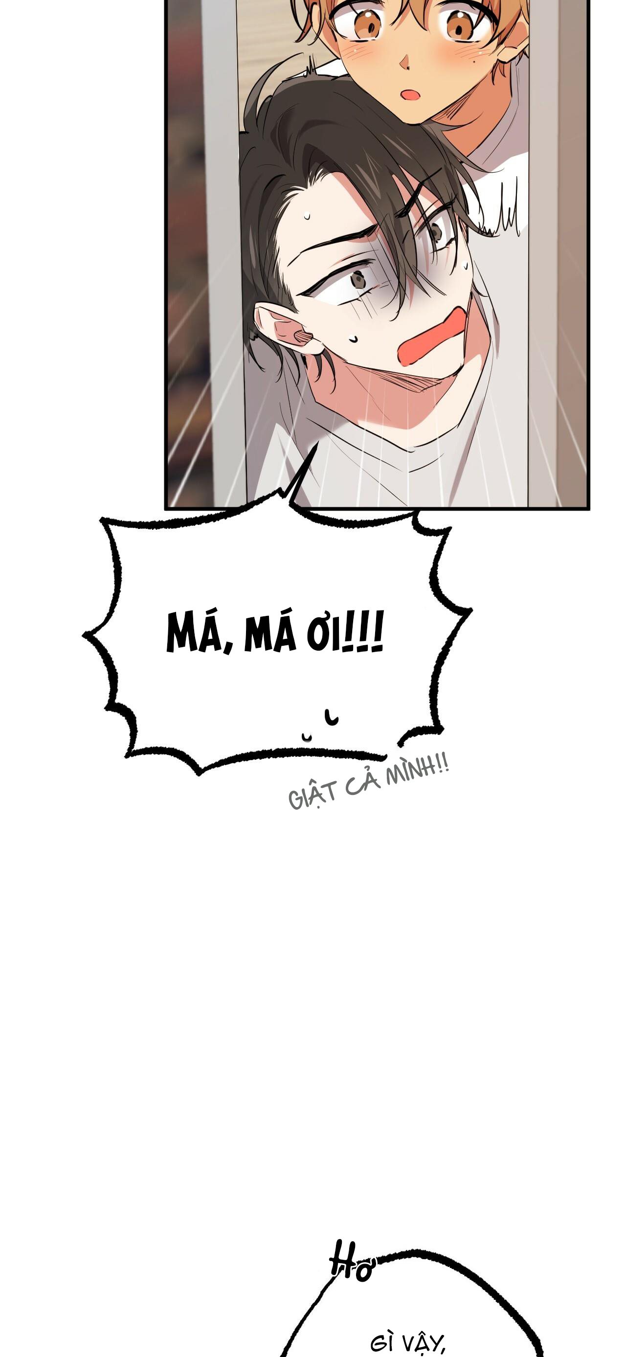 những chú thỏ của hapypy chapter 39 29