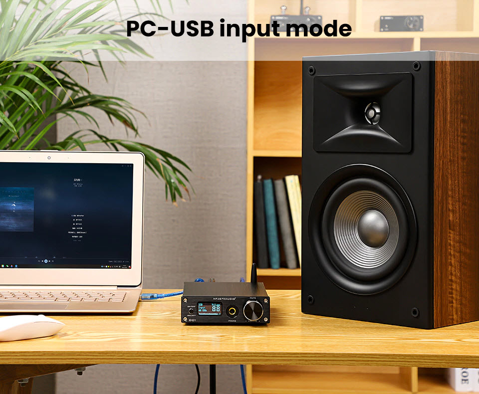 Bộ Giải Mã FX-Audio DAC D01 32 Bit/768Khz/ DSD512 Bluetooth 5.0 USB  and Headphone Amplifier HiFi Stereo Digital to Analogue ES9038Q2M/XMOS XU208 Support APTX/HD/LDAC/DSD.512 with 6.35mm to 3.5mm Headphone Converter - Hàng Chính Hãng