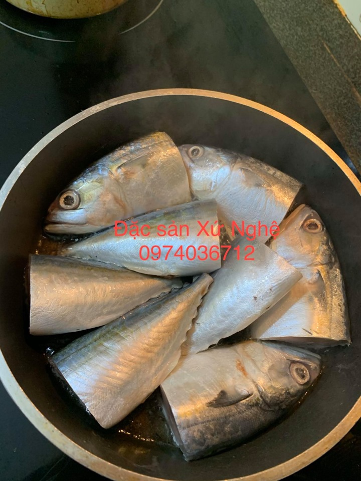 CÁ BẠC MÁ TƯƠI
