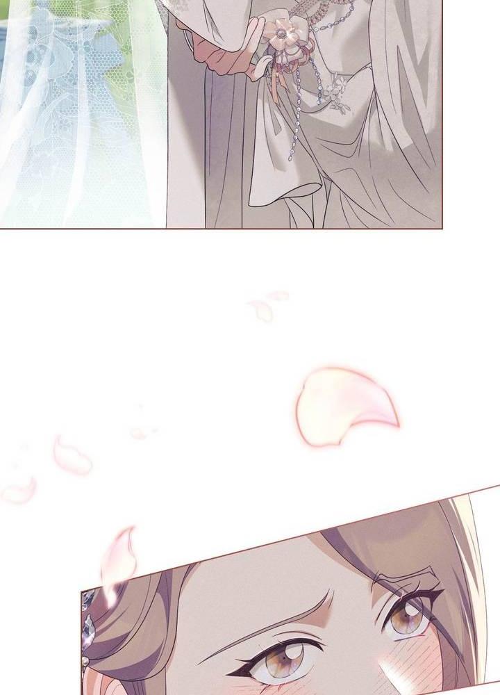 chấp nhận sự chiếm đoạt chapter 15 29