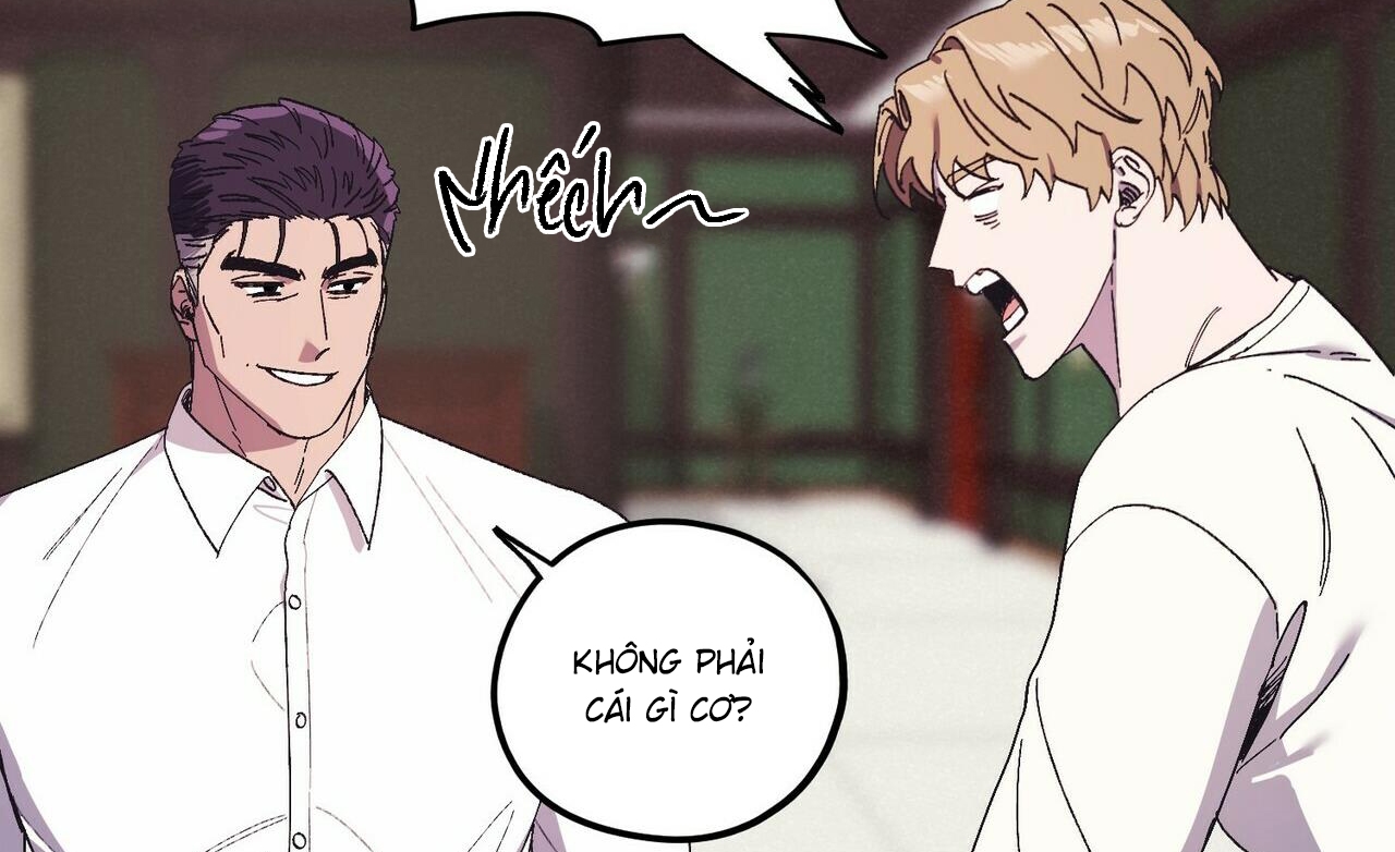 chàng dâu nhà họ kang chapter 29 19