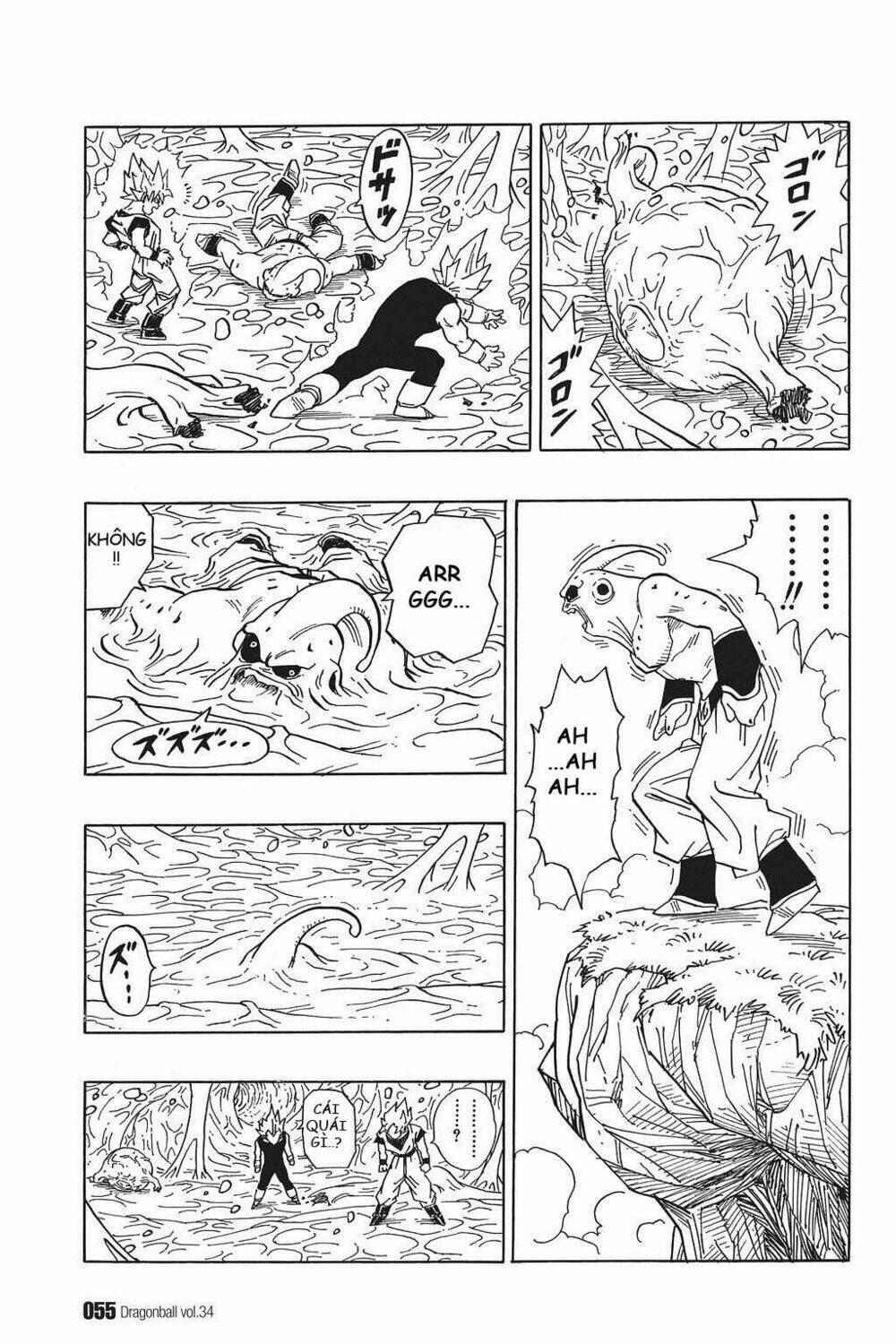 dragon ball - bảy viên ngọc rồng chapter 507 10