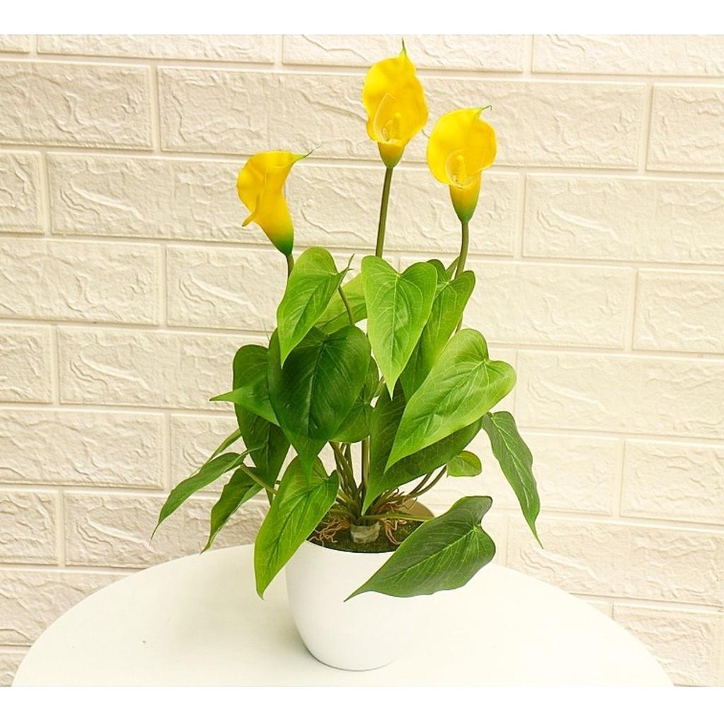 Chậu cây nhỏ trang trí nhà cửa, để tủ, cửa hàng, quán... Cây giả kèm chậu