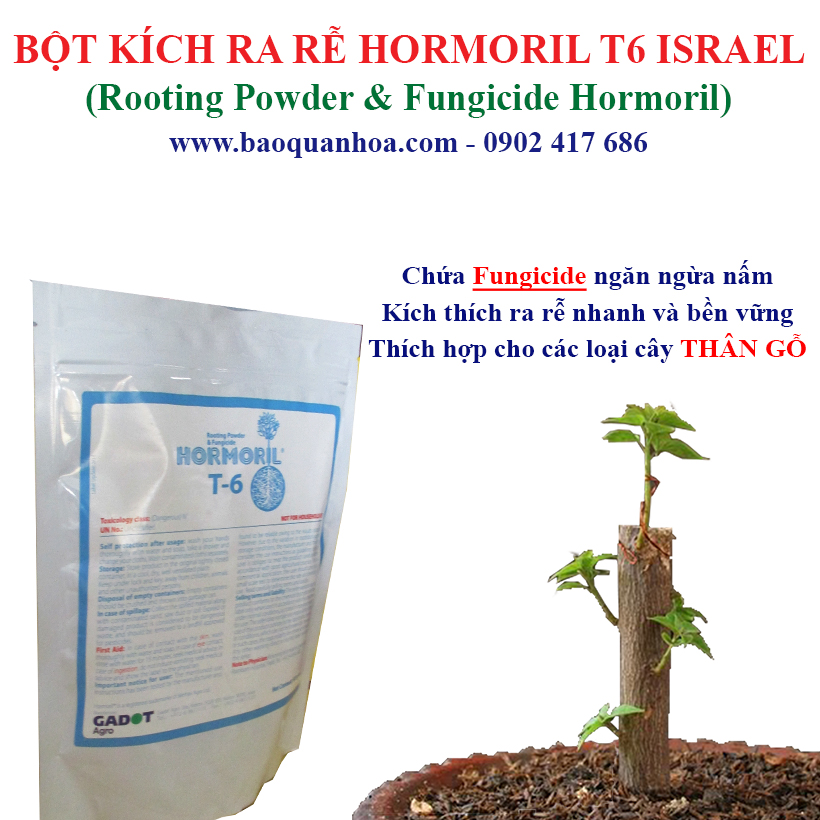 Bột Kích Ra Rễ Israel cho cây Thân Gỗ Hormoril T6 (T with Fungicide)