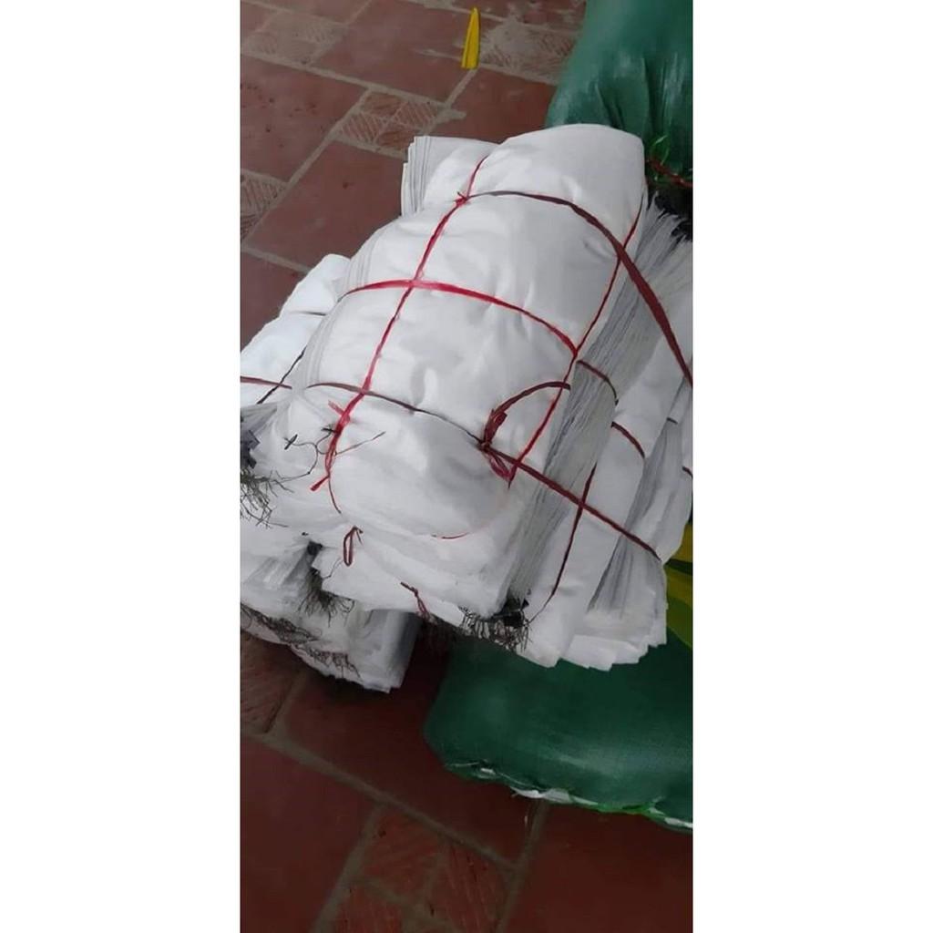 Bộ 50 túi bao trái mít kích thước 45X50