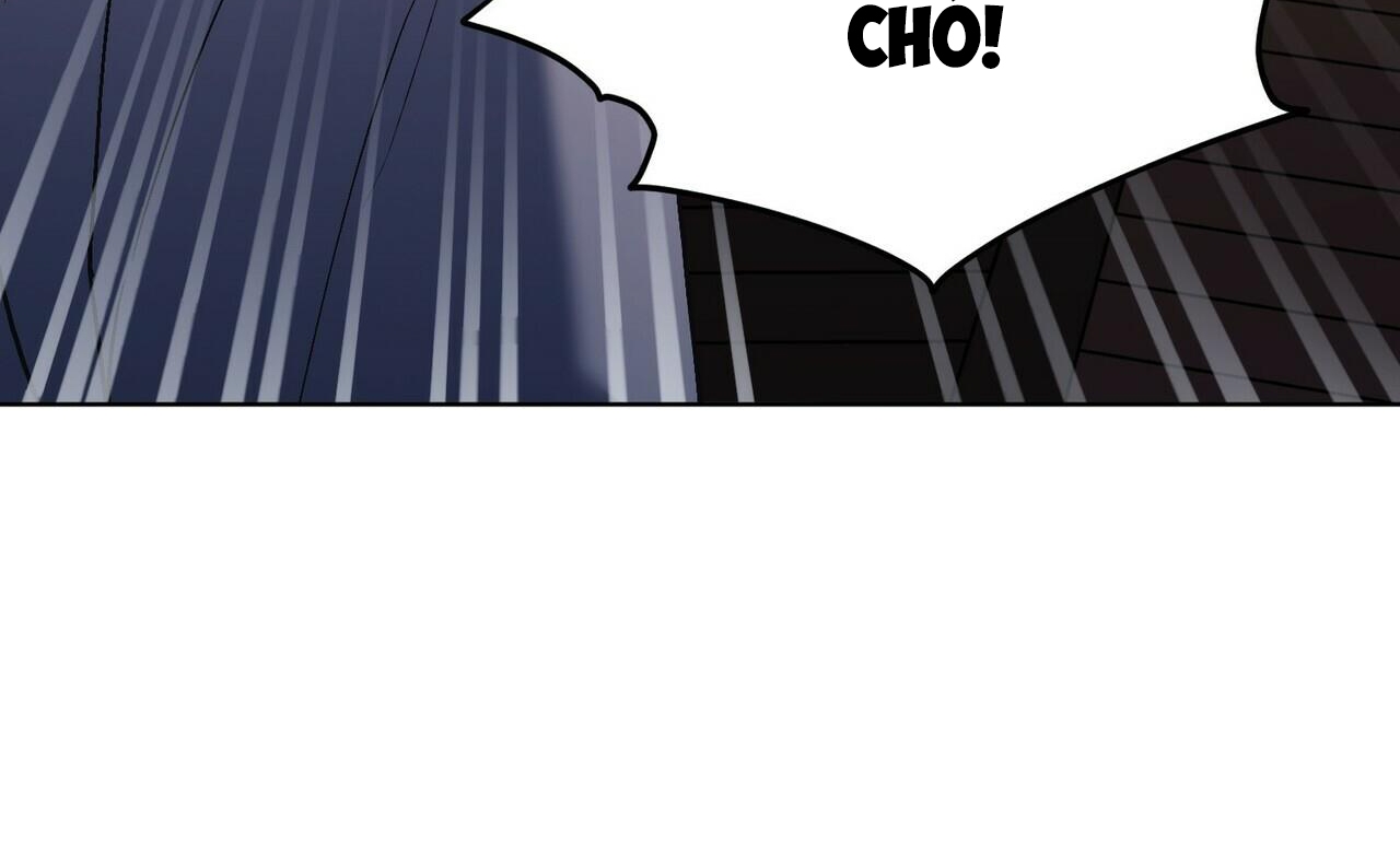 chàng dâu nhà họ kang chapter 24 4