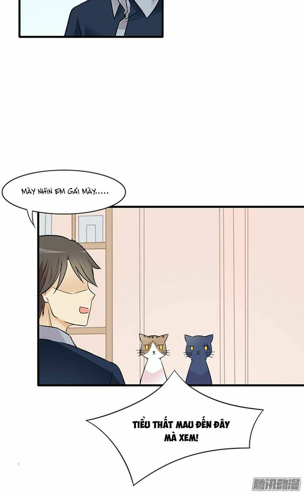 hai chú mèo totem chapter 12 9