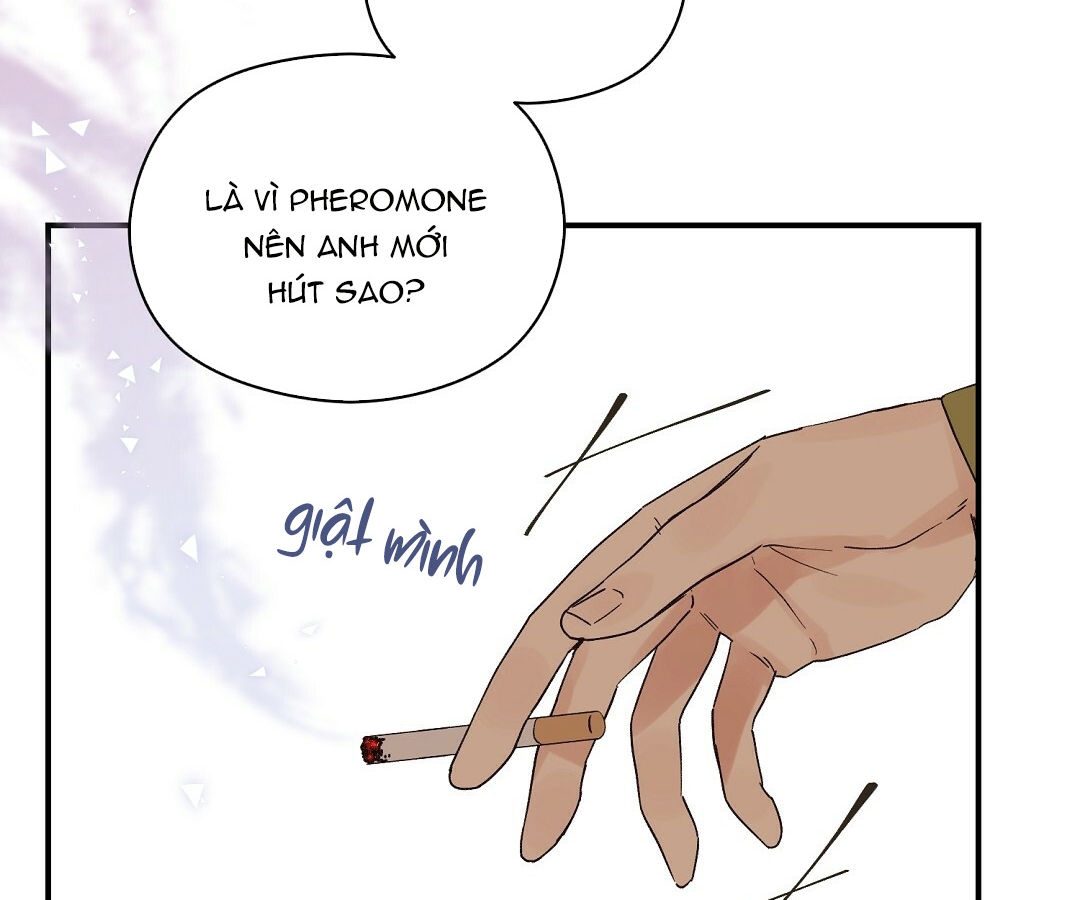 phức cảm tự ti của omega chapter 10 49