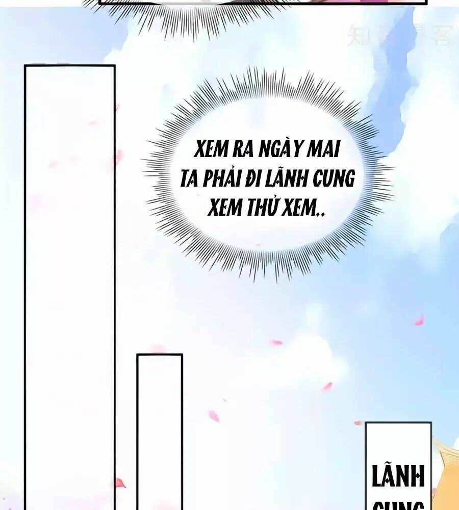 gian phi như thử đa kiều chapter 41 37