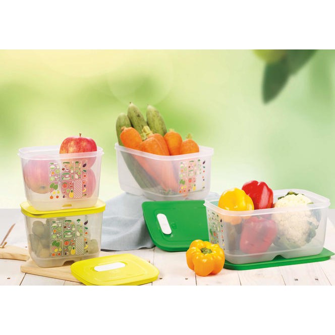 Bộ hộp trữ mát có nút hô hấp Ventsmart 4 hộp TUPPERWARE CHÍNH HÃNG