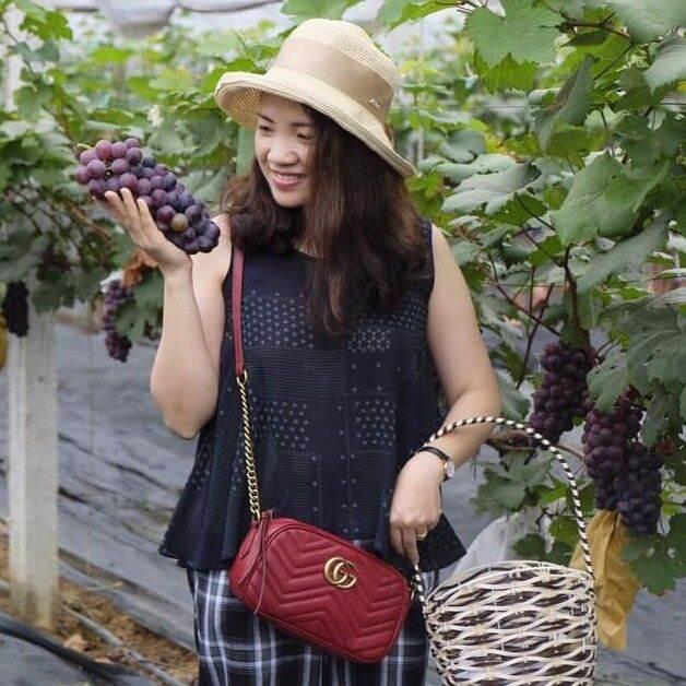 Cây Giống Nho Hạ Đen Không Hạt