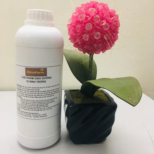 Vi sinh trứng 1 lít