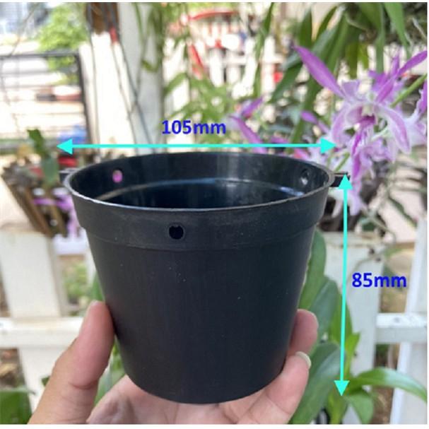 COMBO 5 chậu - Chậu Nhựa Ươm Lan, Nhựa HDPE Nguyên Sinh Phi 85mm, 100mm, 140mm