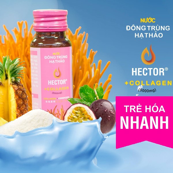 Hộp 10 chai Hector collagen nước đông trùng hạ thảo - Sản phẩm trẻ hóa nhanh