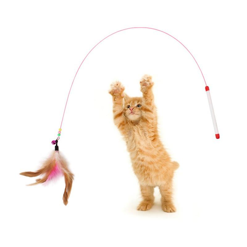 Cần câu dây thép giải trí cho mèo - đồ chơi cho mèo