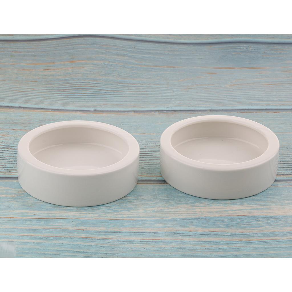 2 Pcs Reptile Feeder Ceramics Food Bowl Anti-escape Dish for Medium