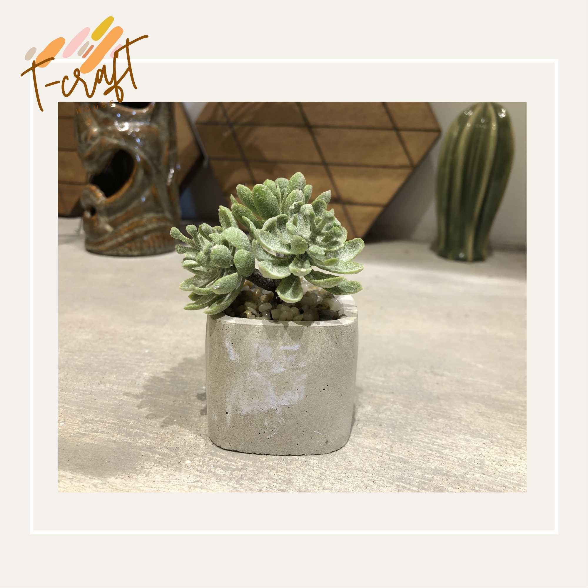 CÂY GIẢ CHẬU THẠCH CAO NHÀ LÀM NHIỀU MÀU SẮC CHO KHÔNG GIAN THÊM SỐNG ĐỘNG VÀ TƯƠI MÁT T.CRAFT HOUSE