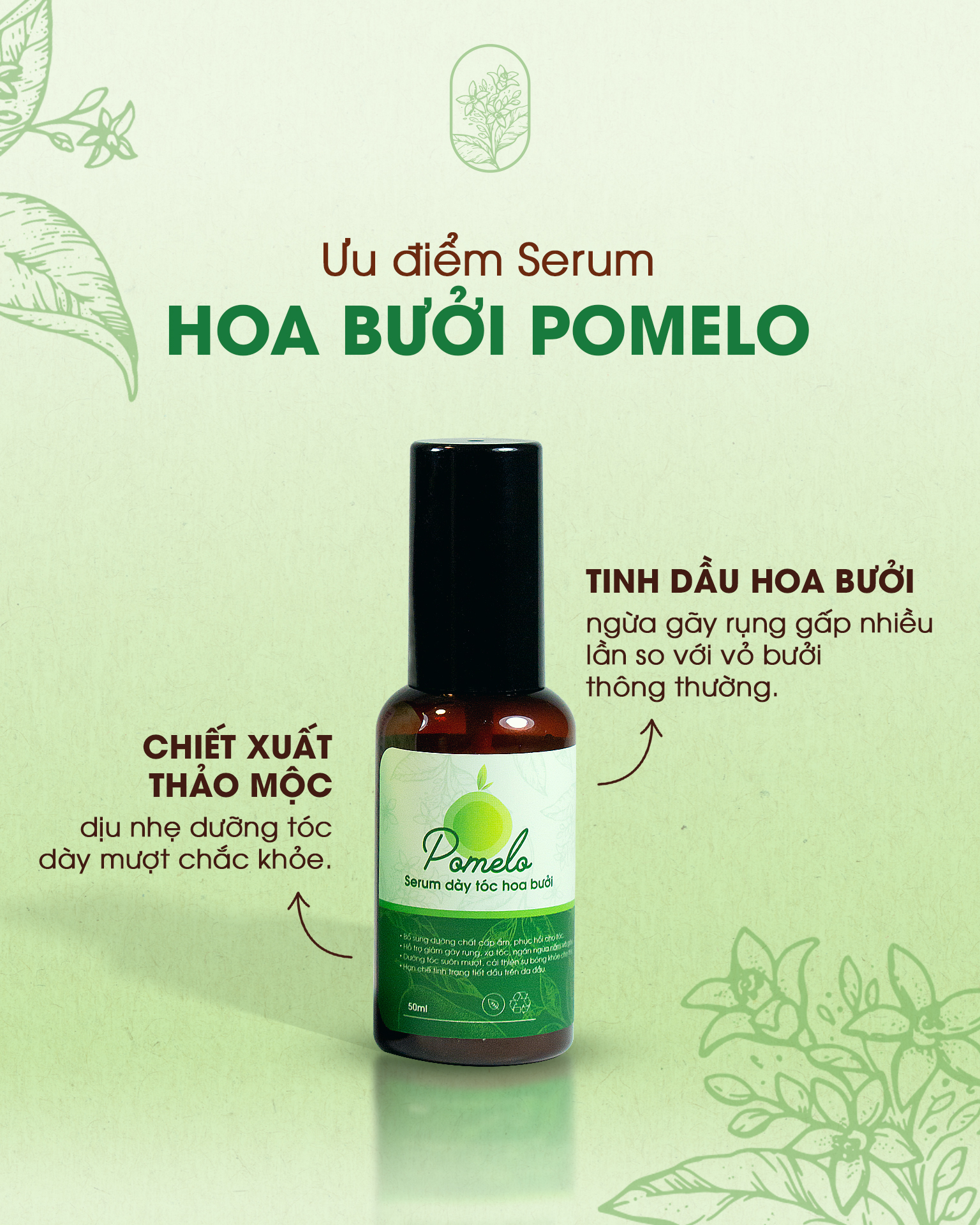 SERUM HOA BƯỞI POMELO-NGĂN NGỪA GÃY RỤNG TÓC 50ML