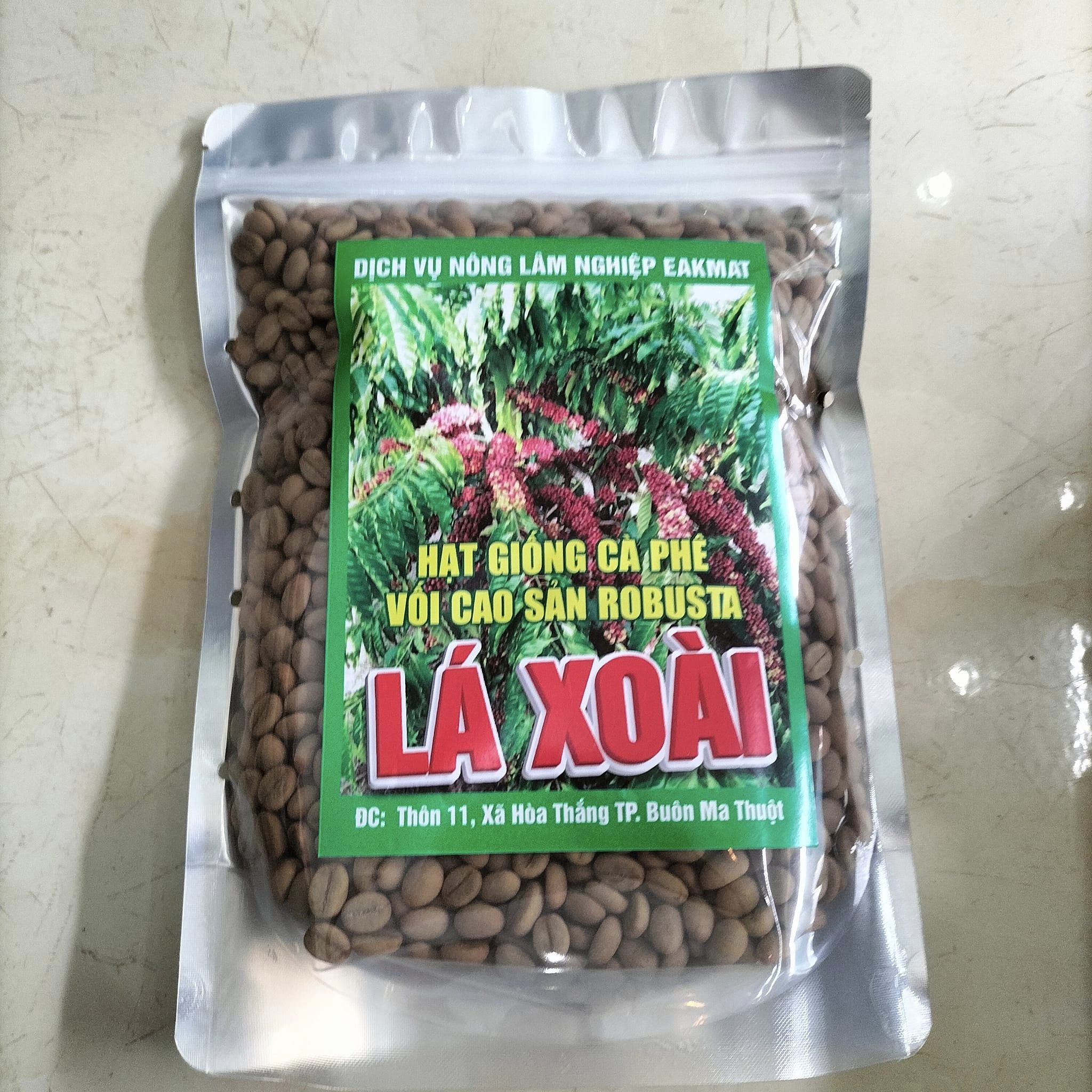 500gram hạt cà phê xanh lùn giống