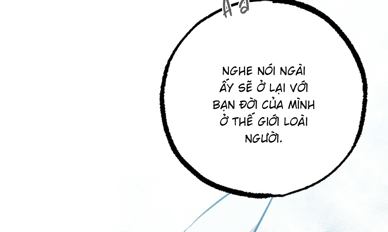 đàn thỏ của habibi chapter 56 275