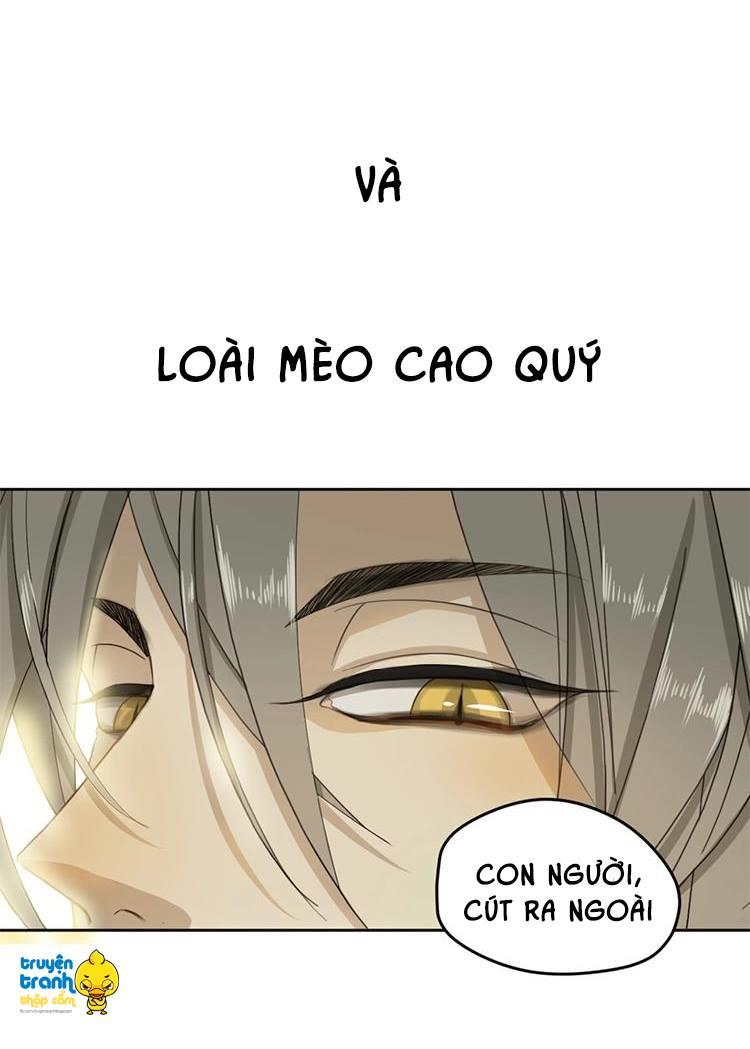 cứu mạng ! loài mèo thống trị thế giới rồi ! chapter 1 5