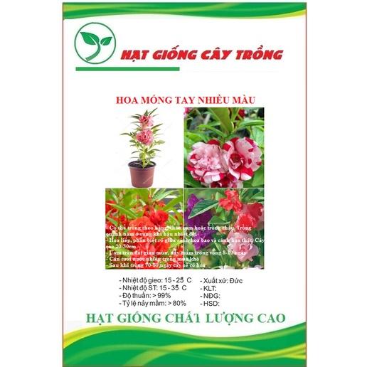 Hạt Giống Hoa Móng Tay Kép Nhiều Màu CT451 - Gói 50 hạt