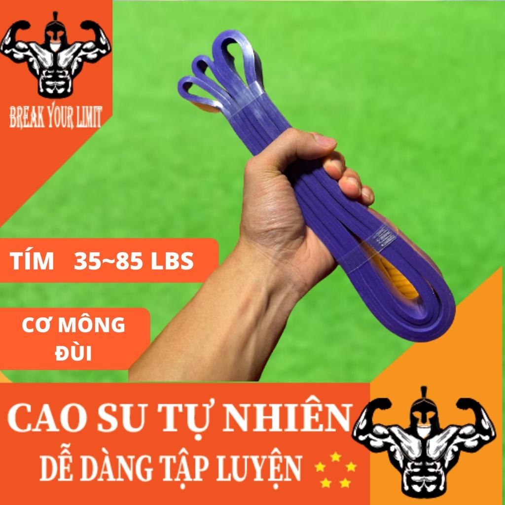 Dây đàn hồi đa năng kháng lực Power Band tập luyện Squat, Chống đẩy, Cơ tay trong Gym, Calisthenics, Streetworkout, Yoga