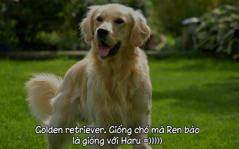 người yêu siêu cấp chapter 28 56