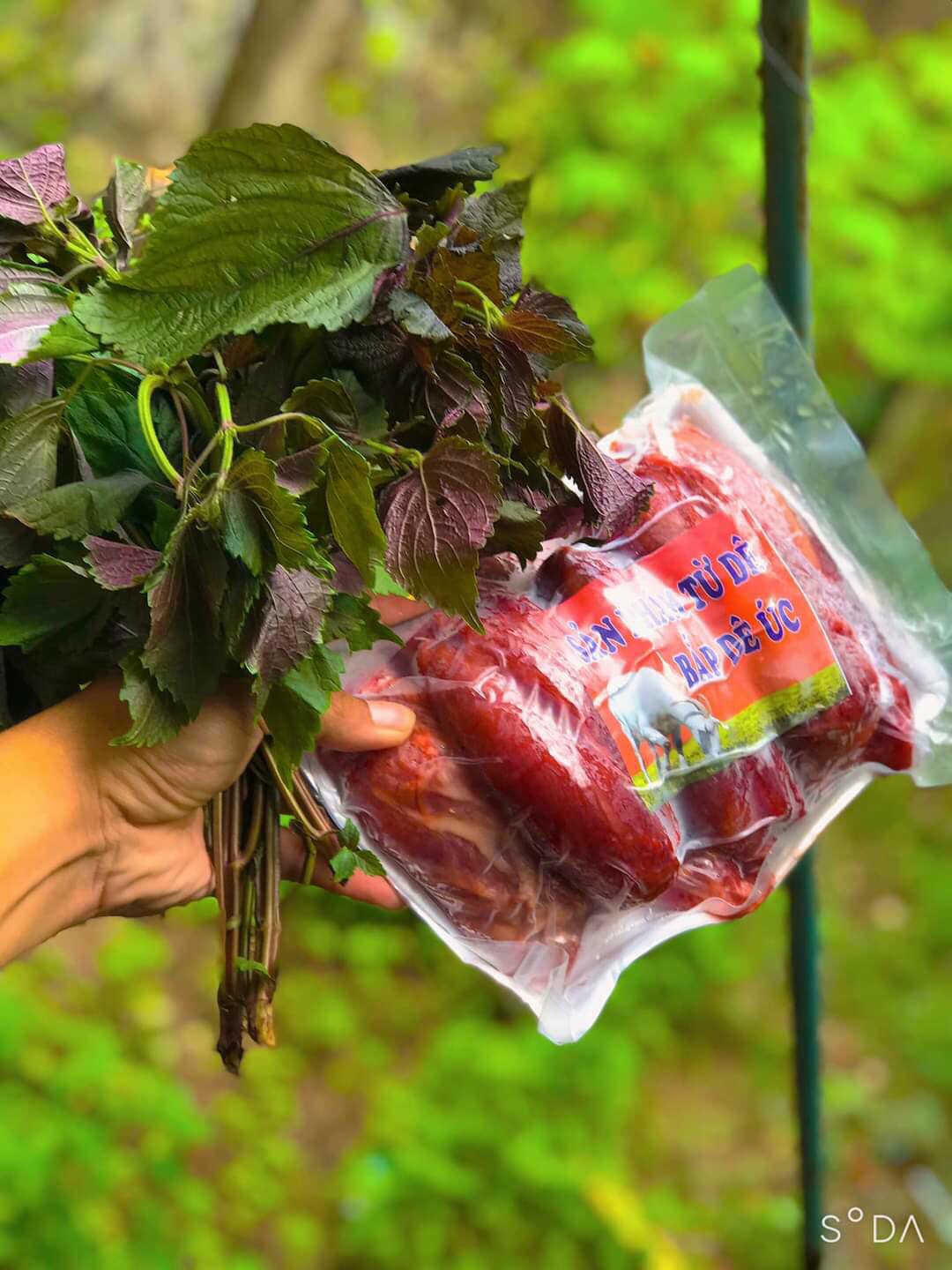 1 Kg Bắp Dê Úc Siêu Tươi Mền Ngon