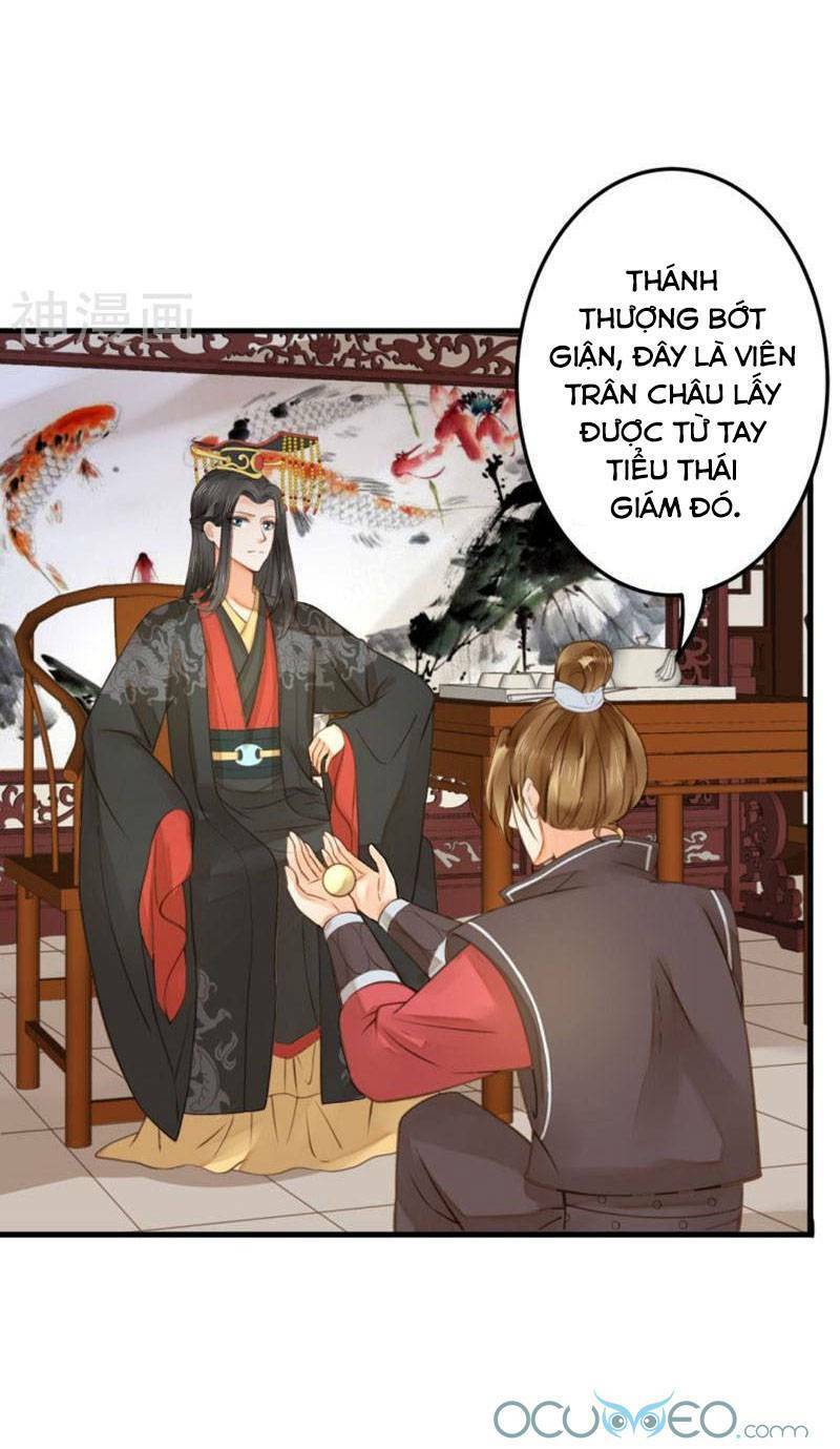 quý phi này có chút cơ chapter 22 5