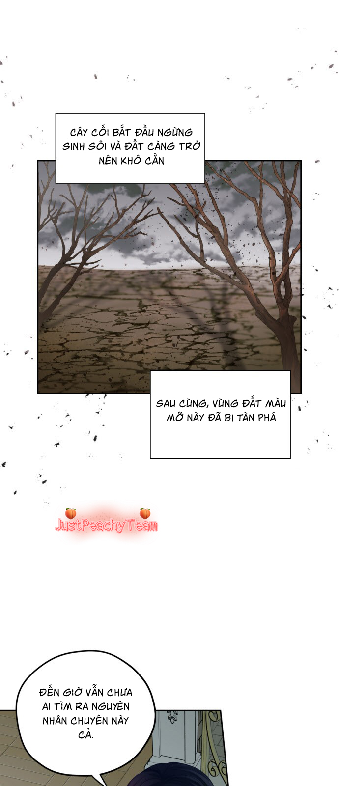 nâng cấp chồng lên level max chapter 8 4