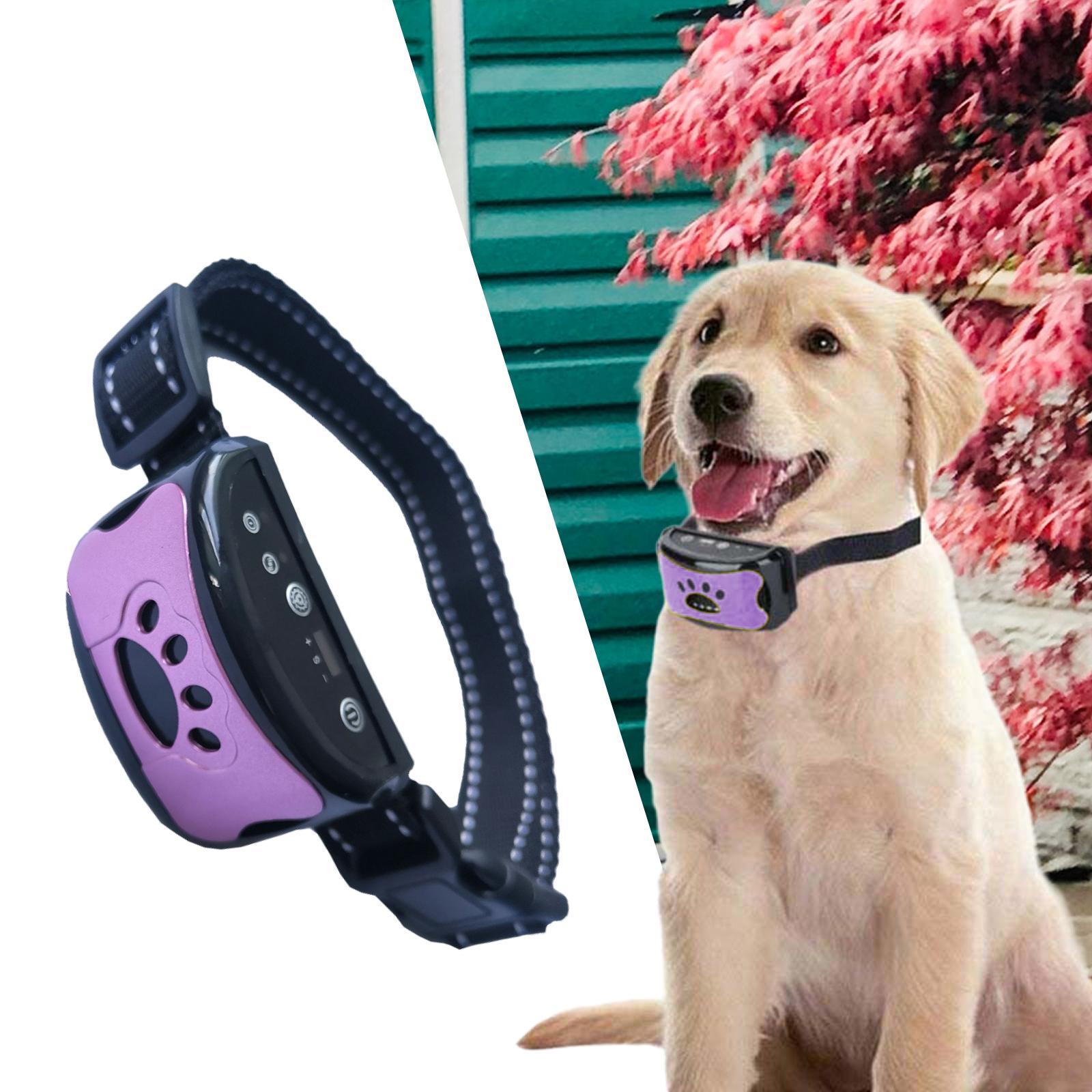 Collar for Dogs Sensitivity Stop for All Dogs