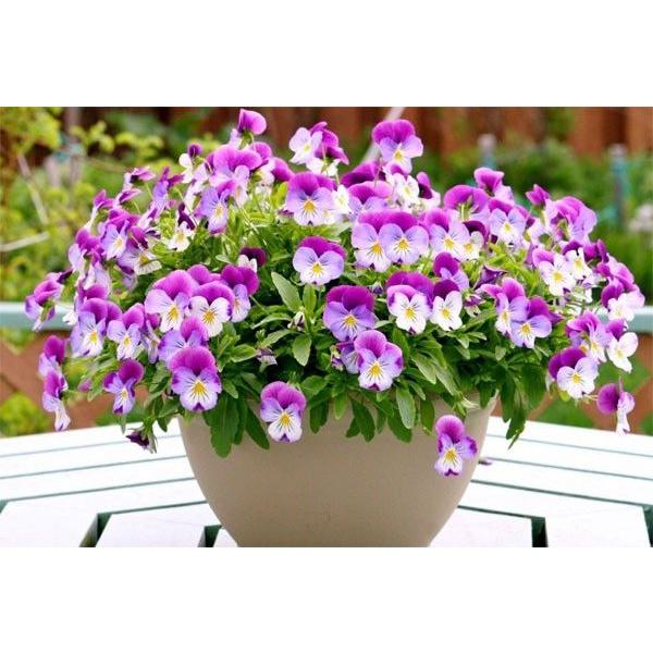 1 KG  PHÂN BÓN HỖN HỢP NPK MINRO 15-5-20  *