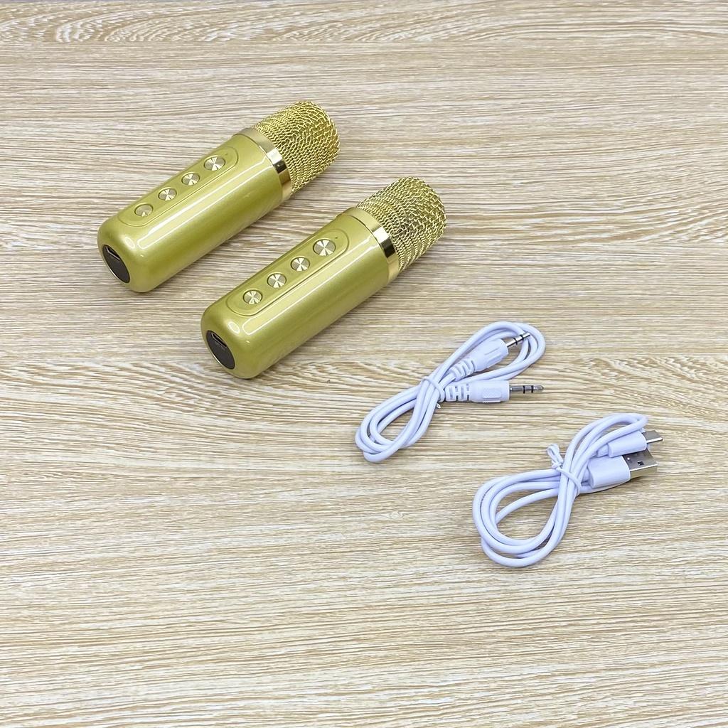 Loa Karaoke Bluetooth YS-207 Kèm 2 Micro Không Dây