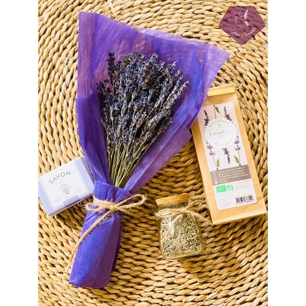 Hoa Oải Hương (Lavender)